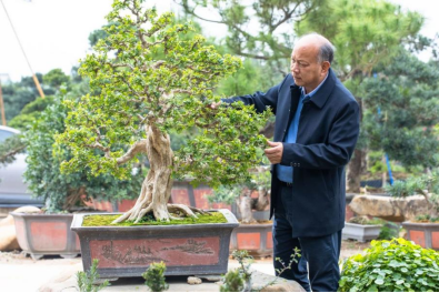 打造文化传承“澳门金沙娱乐城官网
样本”让传统非遗“潮”起来3058.png