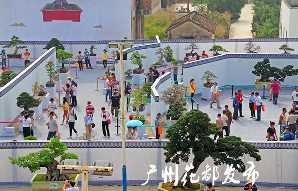 澳门金沙娱乐城官网
小盆景 致富大产业