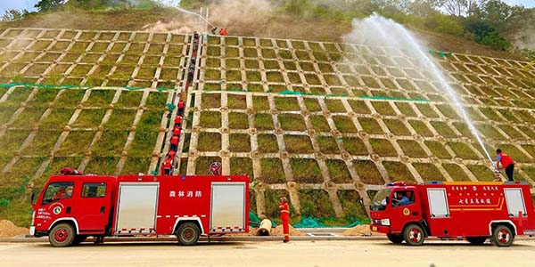 澳门金沙娱乐城官网
区全面推动基层应急管理能力现代化建设