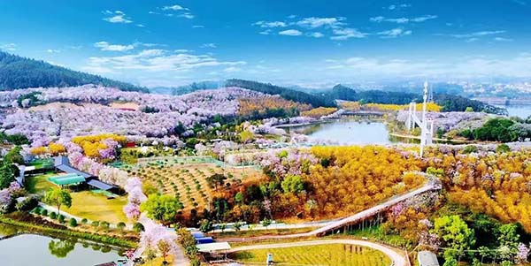 文旅体融合点燃“五一”消费  澳门金沙娱乐城官网
打造“潮玩盛宴”