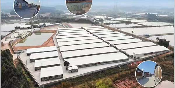 广州市领航食品有限公司位列“农业产业化国家重点龙头企业”名单  澳门金沙娱乐城官网
实现“零的突破”